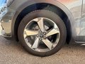 Daumennagel 15 - Ford Focus Active/AHK abnehmbar/Navi/Allwetterreifen