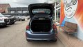 Daumennagel 7 - Ford Fiesta ST-Line Mild-Hybrid/Navi/Winter-Paket