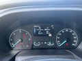 Ford Transit Kasten 350 L3 Trend 130PS 360° Kamera - bilder 14