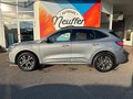 Daumennagel 5 - Ford Kuga Plug-In Hybrid ST-Line X/ACC/LED/Frontkamera