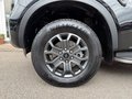 Ford Ranger Wildtrak e-4WD DoKa/ACC/B&O/Rolo elektrisch - foto 13