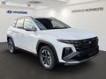 Daumennagel 2 - Hyundai TUCSON PHEV 1.6 T-GDI 6-AT 2WD Trend LED Paket Plug-In Hybrid