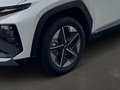 Daumennagel 6 - Hyundai TUCSON PHEV 1.6 T-GDI 6-AT 2WD Trend LED Paket Plug-In Hybrid