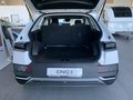 Daumennagel 11 - Hyundai Ioniq 5 Allrad MJ23 77,4KWh Batt. 325 PS Basis  Elektro 4WD