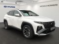 Daumennagel 2 - Hyundai TUCSON HEV MY25 1.6 T-GDi 215PS 6-AT 4WD TREND