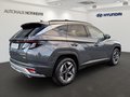 Daumennagel 3 - Hyundai TUCSON 1.6 T-GDI 150 PS 7-DCT 2 WD TREND