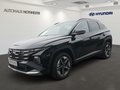 Daumennagel 1 - Hyundai TUCSON MY 26 1.6 T-GDI 150 PS 7-DCT Trend 2WD