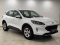 Daumennagel 5 - Ford Kuga 1.5 EcoBoost Cool & Connect 1-Hand 4x SHZ