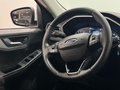 Daumennagel 6 - Ford Kuga 1.5 EcoBoost Cool & Connect 1-Hand 4x SHZ