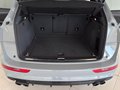 Daumennagel 12 - Audi SQ5 3.0 TDI Plus Quattro|SONDERLACK|PANO|AHK|B&O