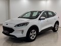 Daumennagel 1 - Ford Kuga 1.5 EcoBoost Cool & Connect 1-Hand 4x SHZ