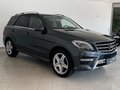 Daumennagel 5 - Mercedes-Benz ML 250 CDI BlueTec AMG-Line|AHK|KAMERA|BIXENON|