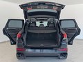 Daumennagel 18 - Porsche Cayenne Diesel|PANO|AHK|PDLS|KAMERA|MEMORY|NAVI