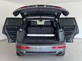 Daumennagel 17 - Audi Q7 3.0 TDI Quattro S-Line 7-Sitzer|PANO|BOSE|AHK