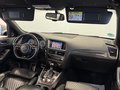 Daumennagel 2 - Audi SQ5 3.0 TDI Competition Quattro S-Line|B&O|PANO|