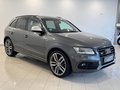 Daumennagel 5 - Audi SQ5 3.0 TDI Competition Quattro S-Line|B&O|PANO|