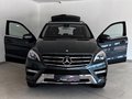 Daumennagel 14 - Mercedes-Benz ML 250 CDI BlueTec AMG-Line|AHK|KAMERA|BIXENON|