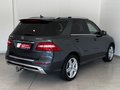 Daumennagel 7 - Mercedes-Benz ML 250 CDI BlueTec AMG-Line|AHK|KAMERA|BIXENON|