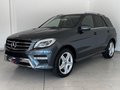 Daumennagel 1 - Mercedes-Benz ML 250 CDI BlueTec AMG-Line|AHK|KAMERA|BIXENON|