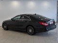 Daumennagel 3 - Mercedes-Benz CLS 350 d BlueTec AMG-Line Final-Edition|360°|SH