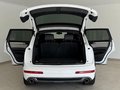 Daumennagel 17 - Audi Q7 4.2 V8 TDI Quattro S-Line 7-Sitzer|PANO|AHK|