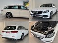Daumennagel 14 - Mercedes-Benz E 220d Avantgarde|HEADUP|KAM|PANO|WIDE|DTR+|BURM