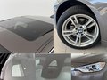 Daumennagel 11 - BMW 320d Luxury-Line|HEADUP|SHDACH|HARMANKARDON|MEM|