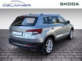 Daumennagel 3 - Skoda Karoq Style 1.5 TSI DSG Leder AHK ACC Navi Kamera
