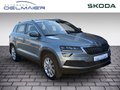 Daumennagel 2 - Skoda Karoq Style 1.5 TSI DSG Leder AHK ACC Navi Kamera