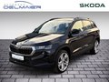 Daumennagel 1 - Skoda Karoq Style 1.5 TSI AHK, Alcantara, Navi, ACC