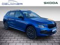 Daumennagel 2 - Skoda Kamiq Selection