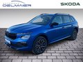 Daumennagel 1 - Skoda Kamiq Selection