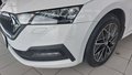 Daumennagel 6 - Skoda Octavia Combi Clever 2.0 TDI DPF DSG