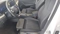 Daumennagel 7 - Skoda Octavia Combi Clever 2.0 TDI DPF DSG