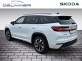 Daumennagel 4 - Skoda Kodiaq 2.0 TDI 142 kW 4x4 Sportline