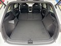 Daumennagel 13 - Skoda Kodiaq 2.0 TDI 142 kW 4x4 Sportline