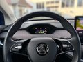Daumennagel 8 - Skoda Enyaq 80 Lodge AHK, Navi, Kamera, PDC