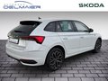 Daumennagel 3 - Skoda Scala Selection