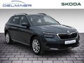 Daumennagel 2 - Skoda Kamiq Style ACC, Kamera, PDC, LED-AFS, SHZ