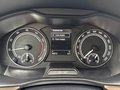 Daumennagel 17 - Skoda Kamiq Style ACC, Kamera, PDC, LED-AFS, SHZ