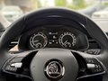 Daumennagel 8 - Skoda Kamiq Style ACC, Kamera, PDC, LED-AFS, SHZ