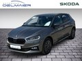 Daumennagel 1 - Skoda Fabia Selection