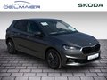 Daumennagel 2 - Skoda Fabia Selection