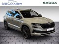 Daumennagel 2 - Skoda Karoq Sportline 4x4 AHK ACC Pano-Dach 360°