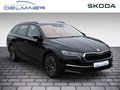 Daumennagel 2 - Skoda Octavia Combi Tour 2.0 TDI DSG Navi, Leder, el. Ergo-Sitze Massage