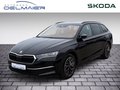 Daumennagel 1 - Skoda Octavia Combi Tour 2.0 TDI DSG Navi, Leder, el. Ergo-Sitze Massage