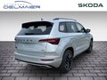 Daumennagel 3 - Skoda Karoq Sportline 4x4