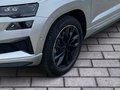 Daumennagel 6 - Skoda Karoq Sportline 4x4