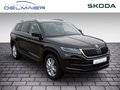 Daumennagel 2 - Skoda Kodiaq 2.0 TSI Style 4x4