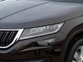 Daumennagel 5 - Skoda Kodiaq 2.0 TSI Style 4x4